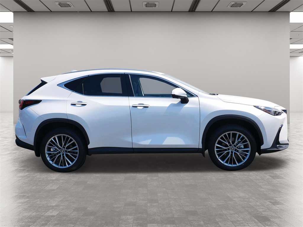 2025 Lexus NX 350h Premium 6