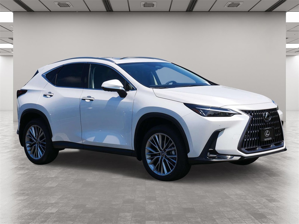 2025 Lexus NX 350h Premium 1