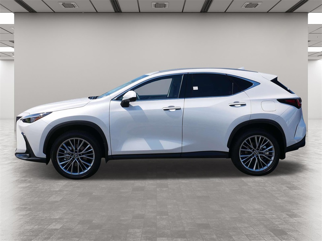 2025 Lexus NX 350h Premium 3