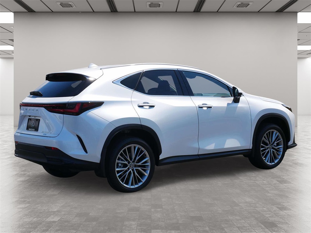 2025 Lexus NX 350h Premium 5