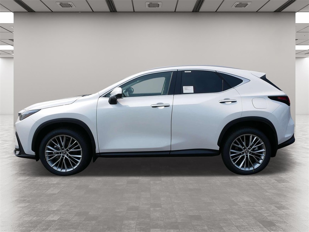 2025 Lexus NX 350h Premium 3