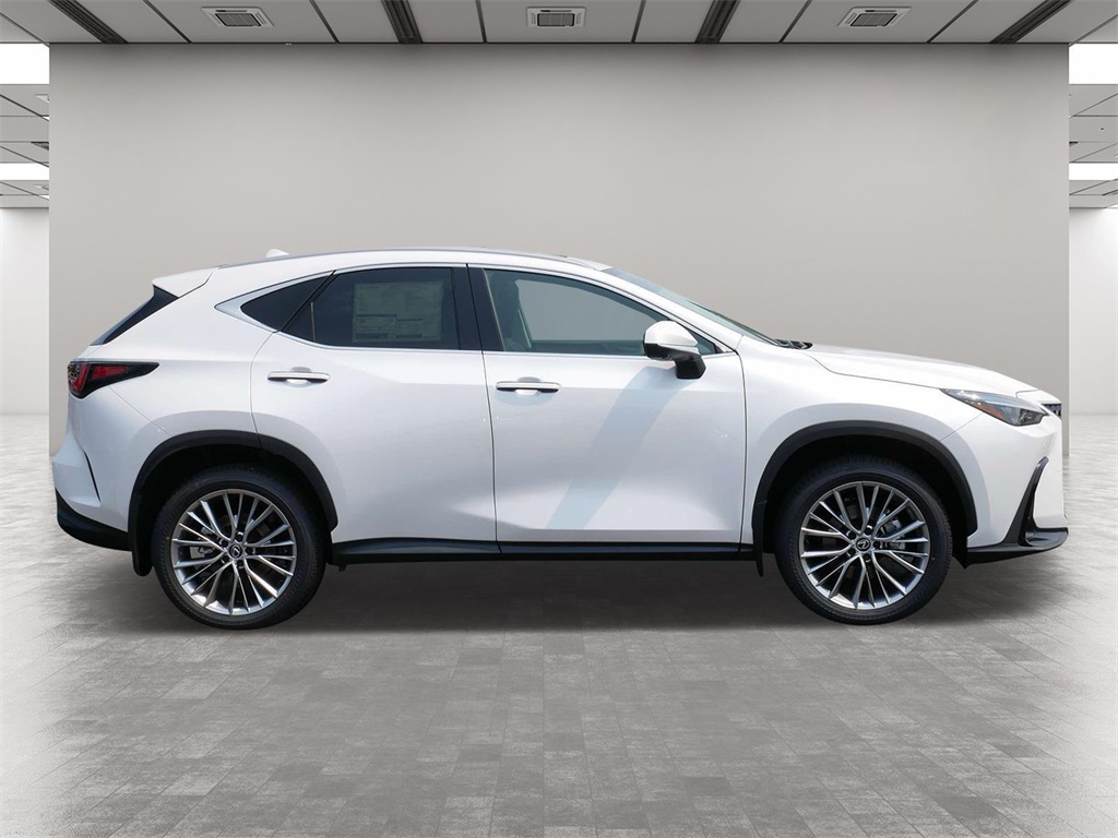 2025 Lexus NX 350h Premium 6