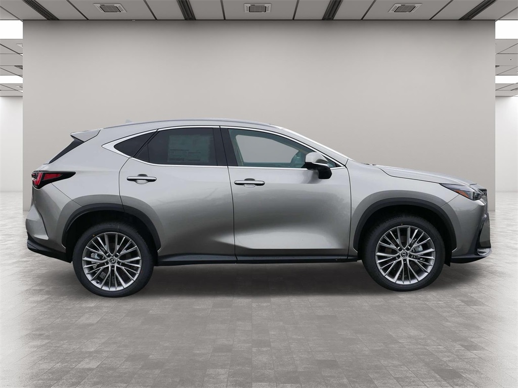 2025 Lexus NX 350h Premium 6