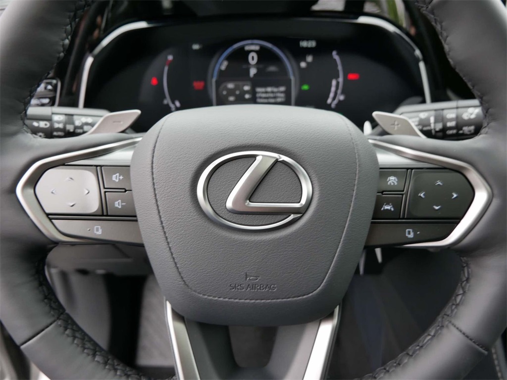 2025 Lexus NX 350h Premium 17