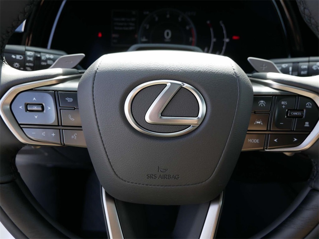 2024 Lexus RX 350 Premium 17