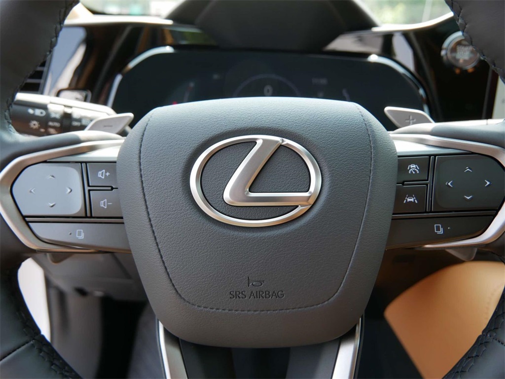 2025 Lexus NX 350 Premium 18