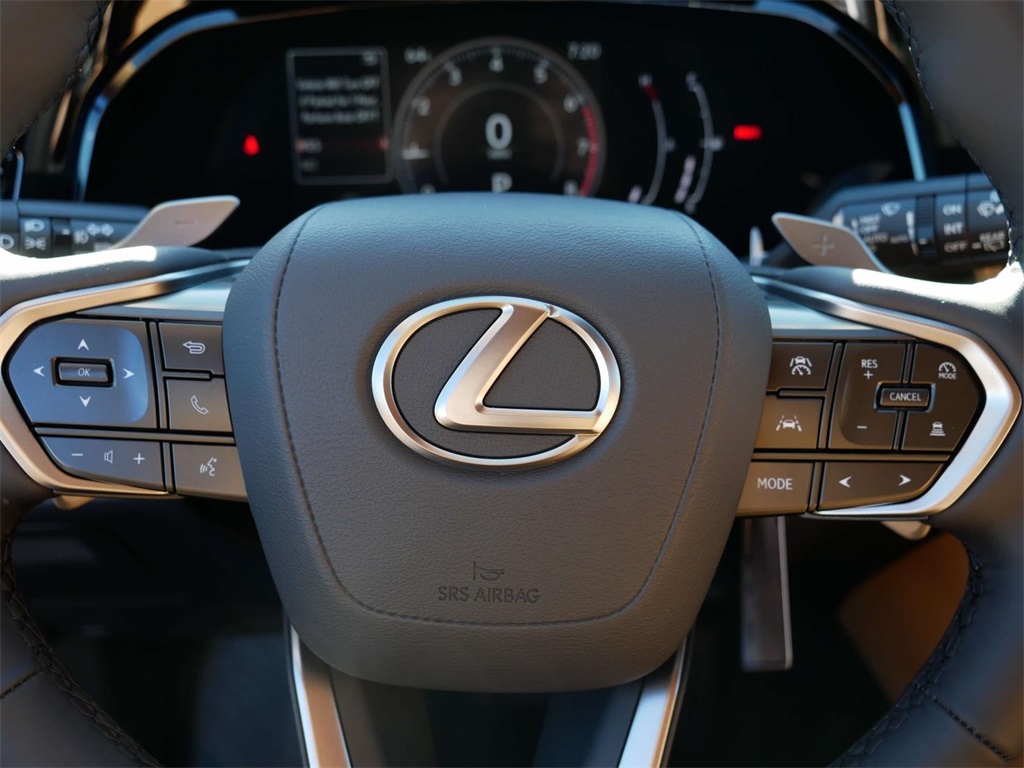 2025 Lexus NX 350 Base 18