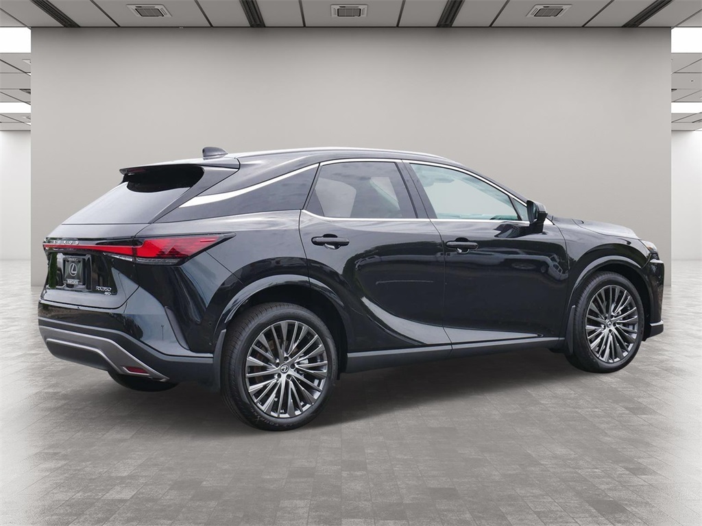 2024 Lexus RX 350 Luxury 5