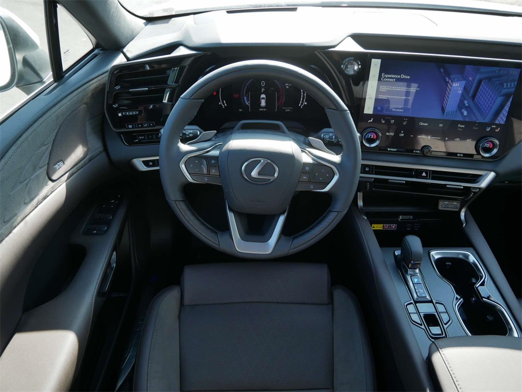 2024 Lexus RX 350 Luxury 13