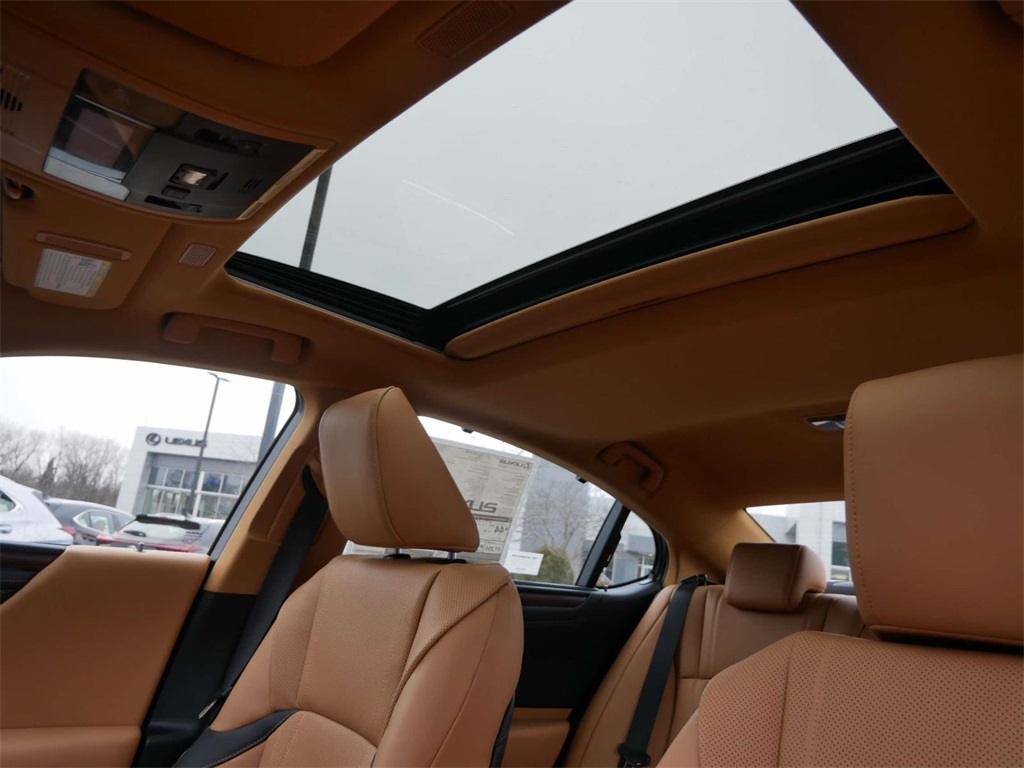 2024 Lexus ES 300h Ultra Luxury 18
