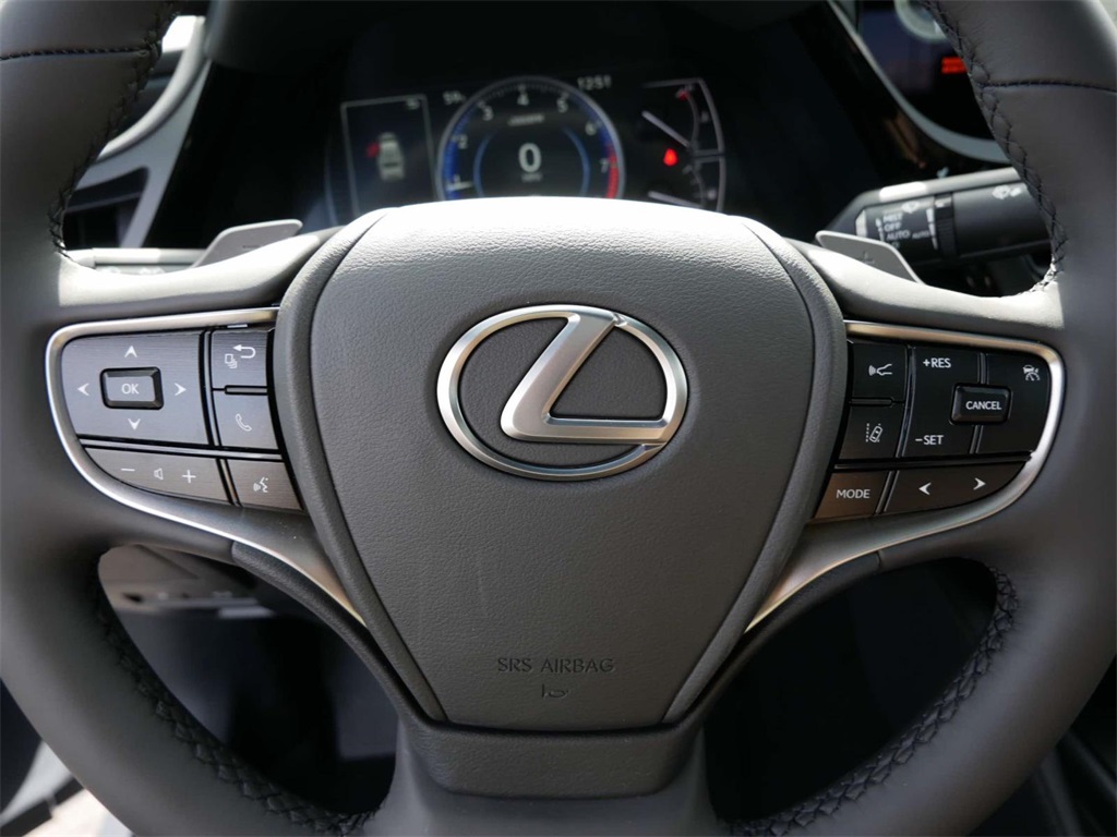 2024 Lexus ES 250 17