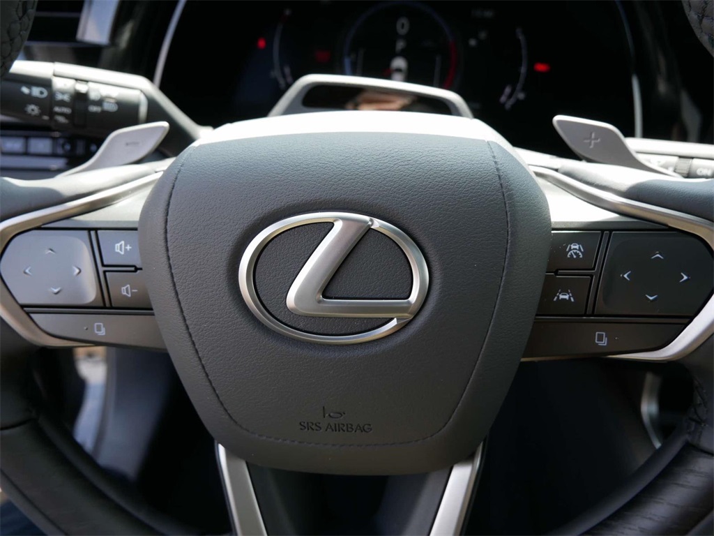 2024 Lexus RX 350 Luxury 17