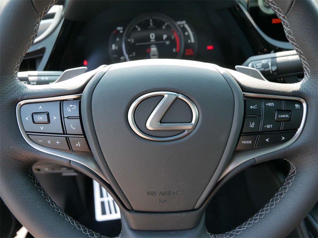 2024 Lexus ES 350 F Sport 17