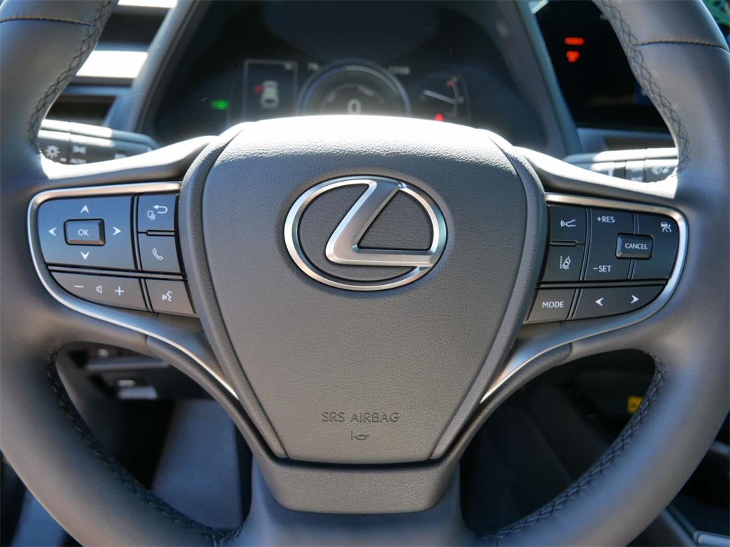 2024 Lexus UX 250h Premium 17