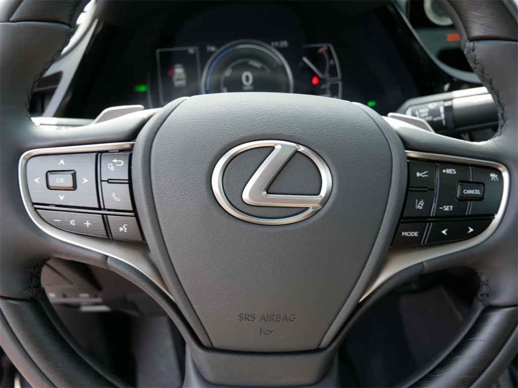 2024 Lexus ES 300h Luxury 17