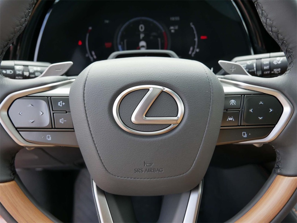 2024 Lexus RX 350 Premium Plus 17