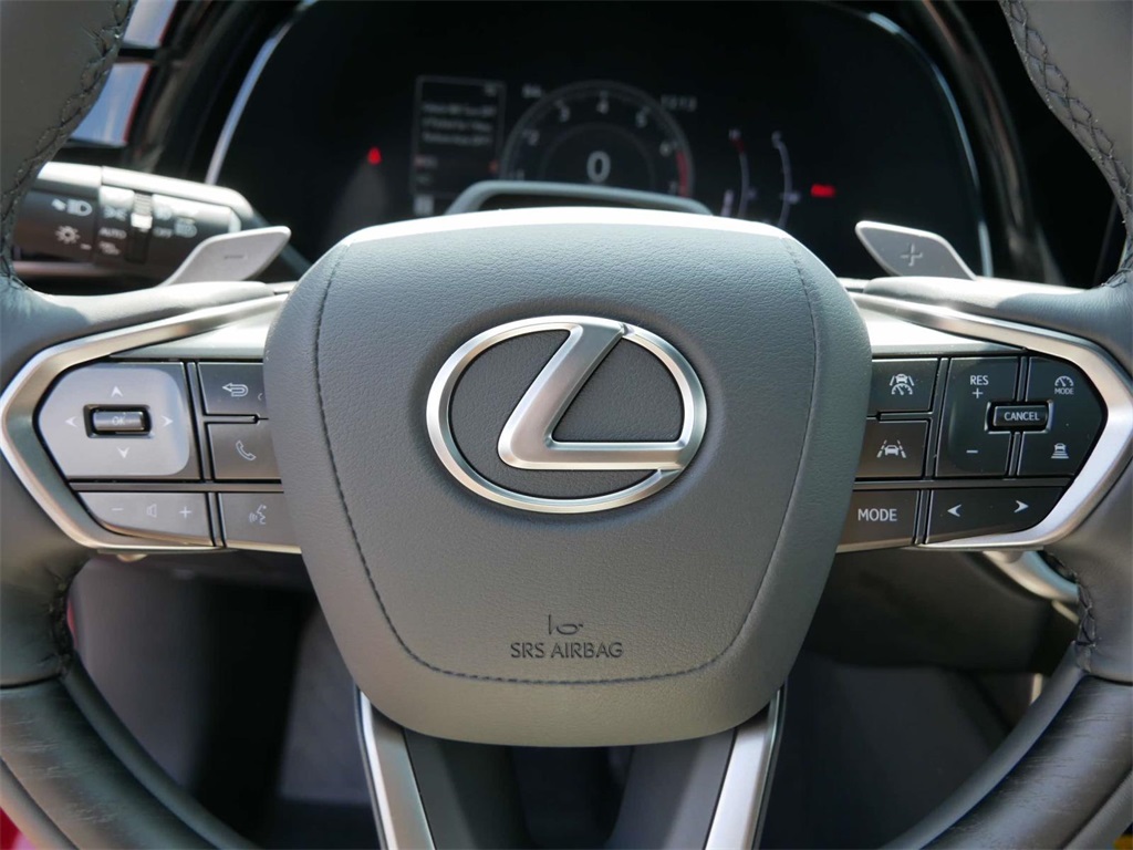 2024 Lexus RX 350 Premium 17