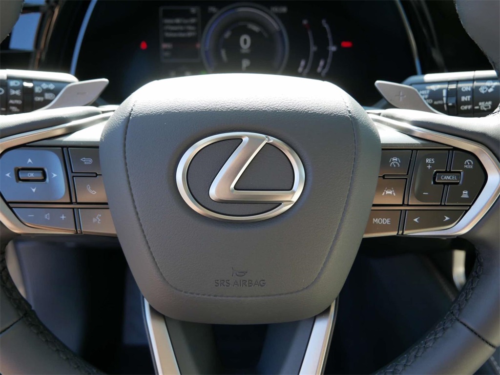 2024 Lexus RX 350h 17