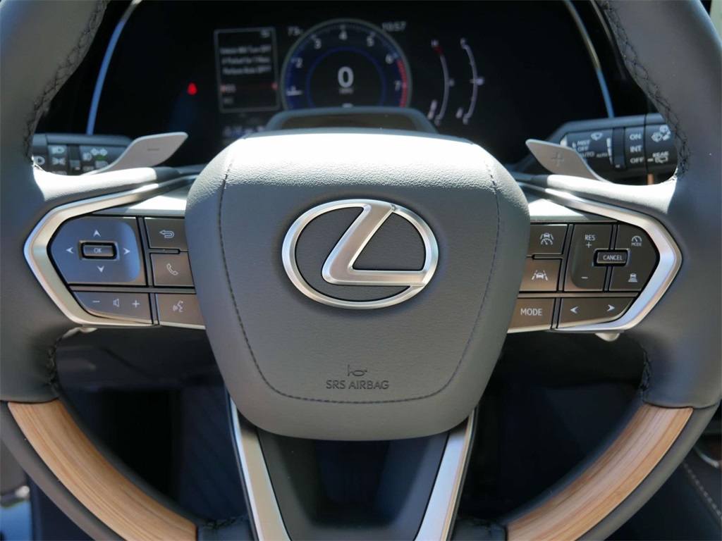 2024 Lexus RX 350 Premium 17