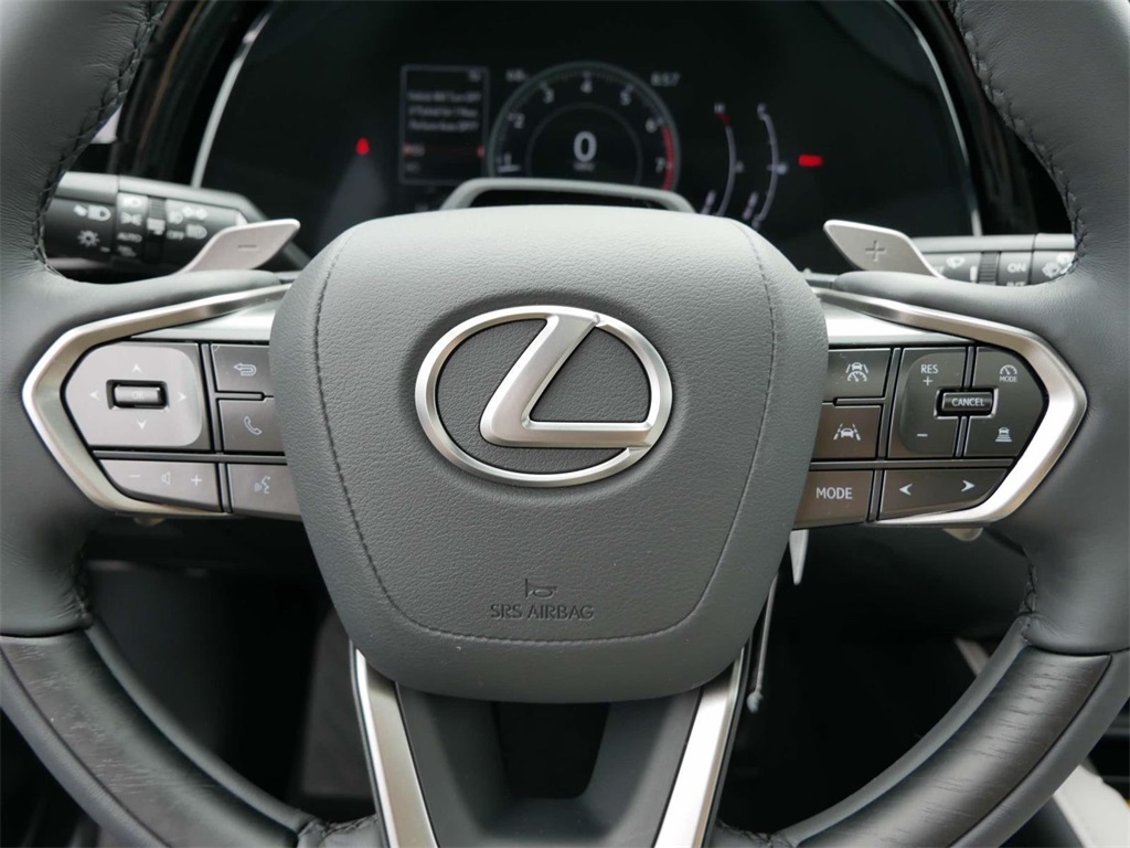 2024 Lexus RX 350 Premium 17