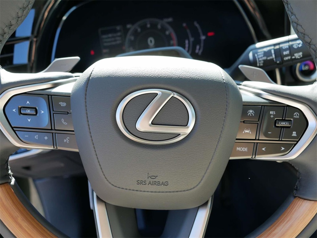 2024 Lexus RX 350 Premium 17