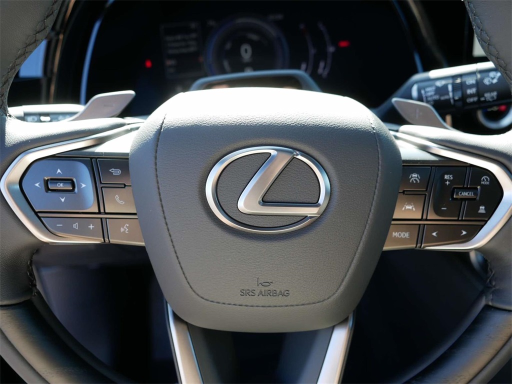 2024 Lexus RX 350h Premium 17