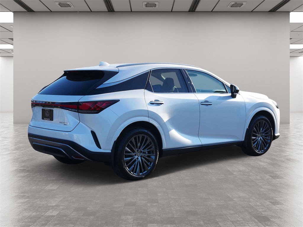 2024 Lexus RX 350 Luxury 5