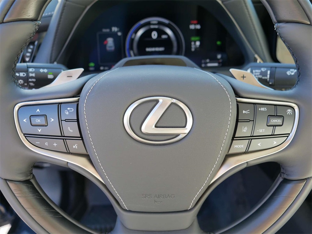 2024 Lexus LS 500h Base 17