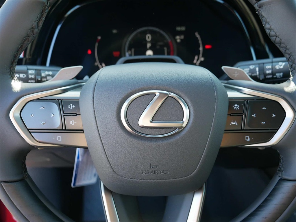 2024 Lexus RX 350 Luxury 17