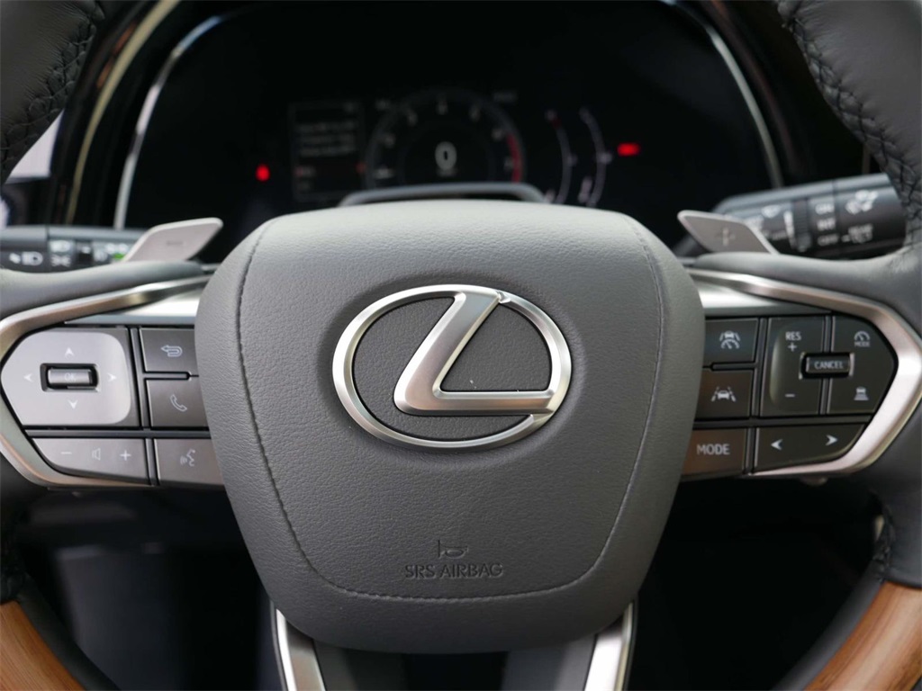 2024 Lexus RX 350 Premium 17