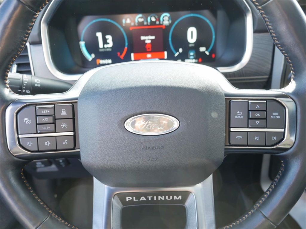 2022 Ford F-150 Platinum 17