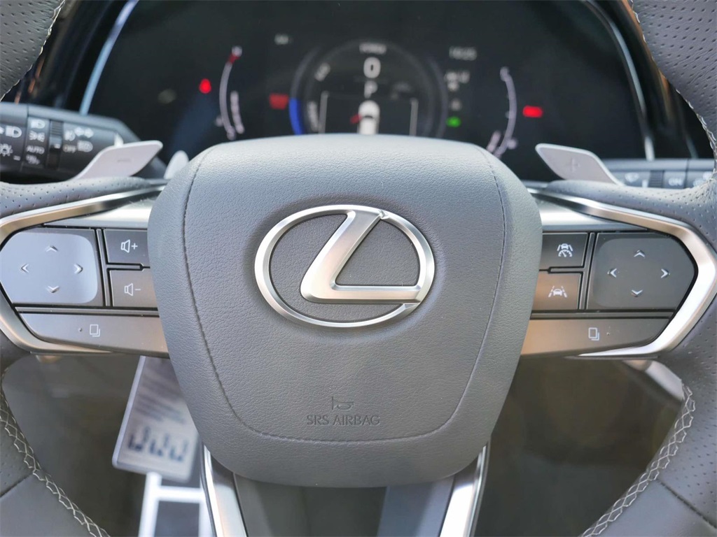 2024 Lexus RX 500h F SPORT Performance 17