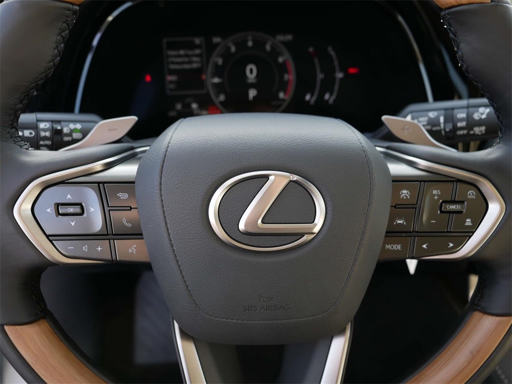 2024 Lexus RX 350 Premium 17