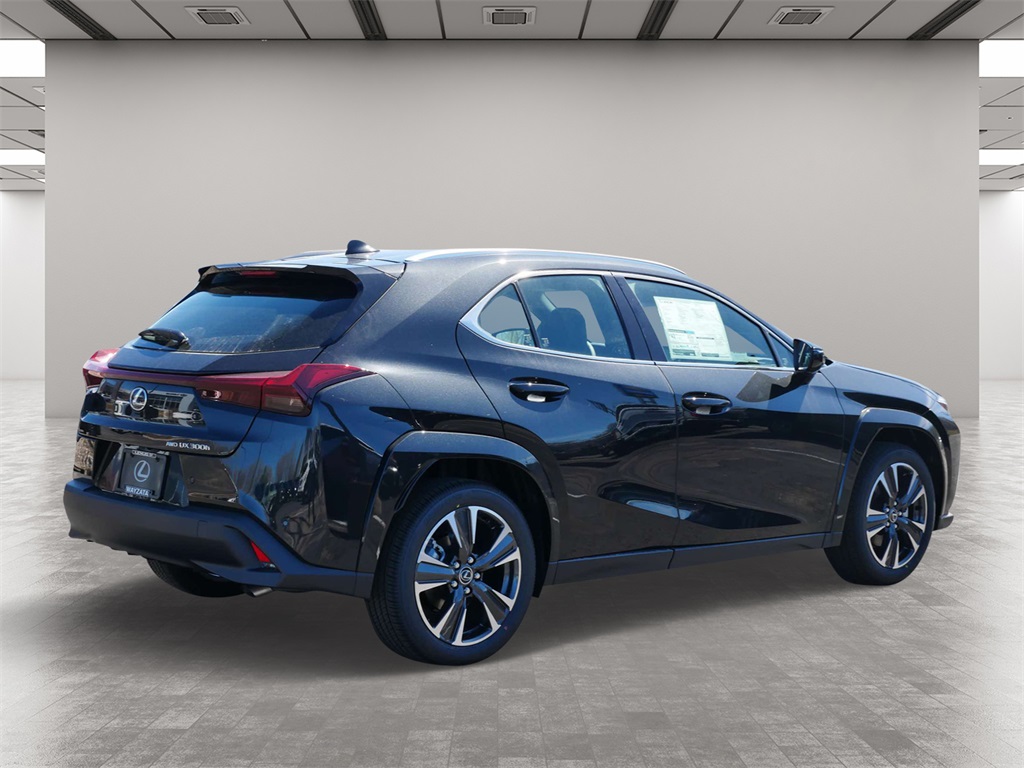2025 Lexus UX 300h Premium 5