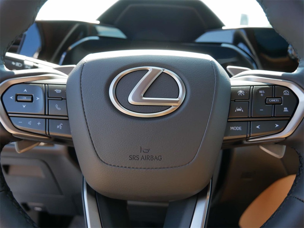 2025 Lexus NX 250 Base 17