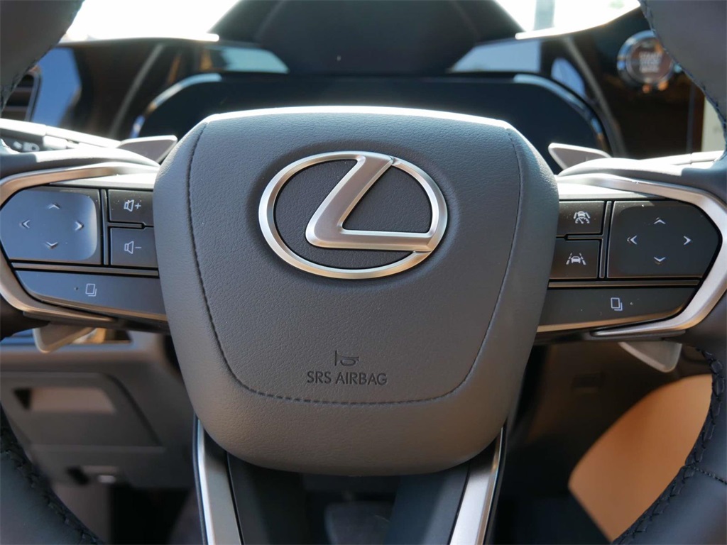 2025 Lexus NX 350 Premium 17