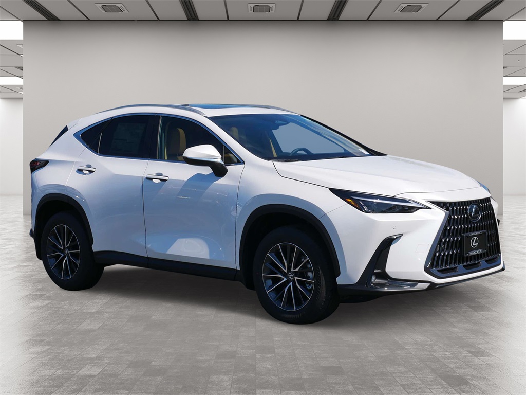 2025 Lexus NX 250 Base 1