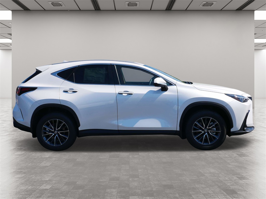 2025 Lexus NX 250 Base 6