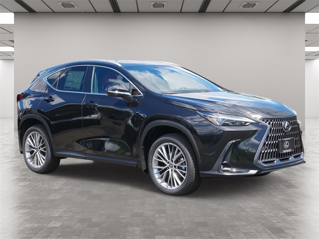 2025 Lexus NX 350 Premium 1