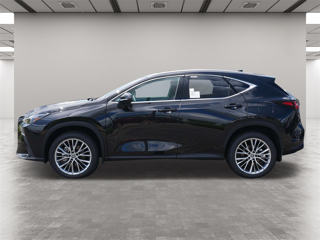 2025 Lexus NX 350 Premium 3