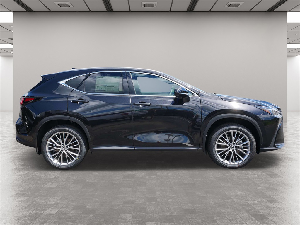 2025 Lexus NX 350 Premium 6