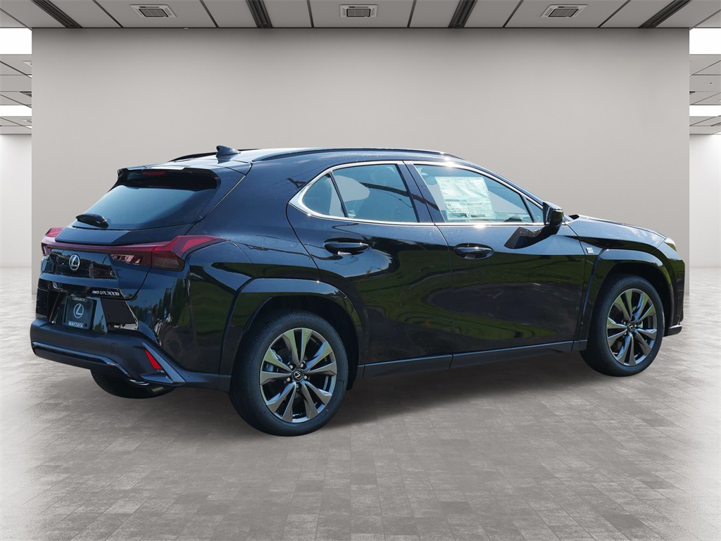 2025 Lexus UX 300h F SPORT Design 5