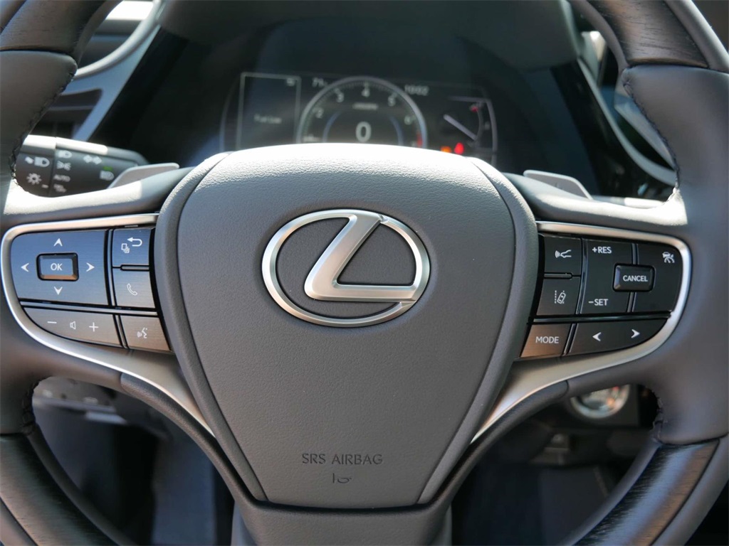 2025 Lexus ES 350 Luxury 17