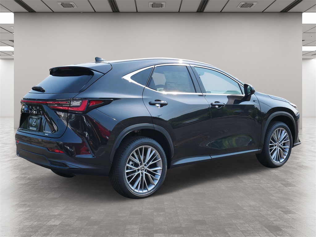 2025 Lexus NX 350h Premium 5