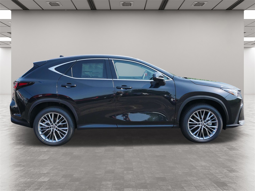 2025 Lexus NX 350h Premium 6