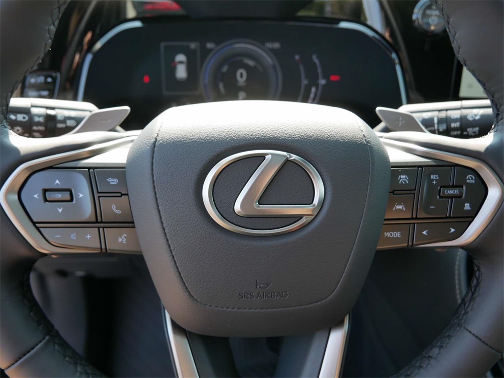 2025 Lexus NX 350h Premium 17