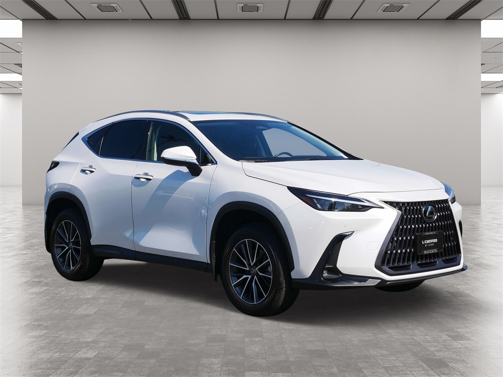 2024 Lexus NX 250 Premium 1