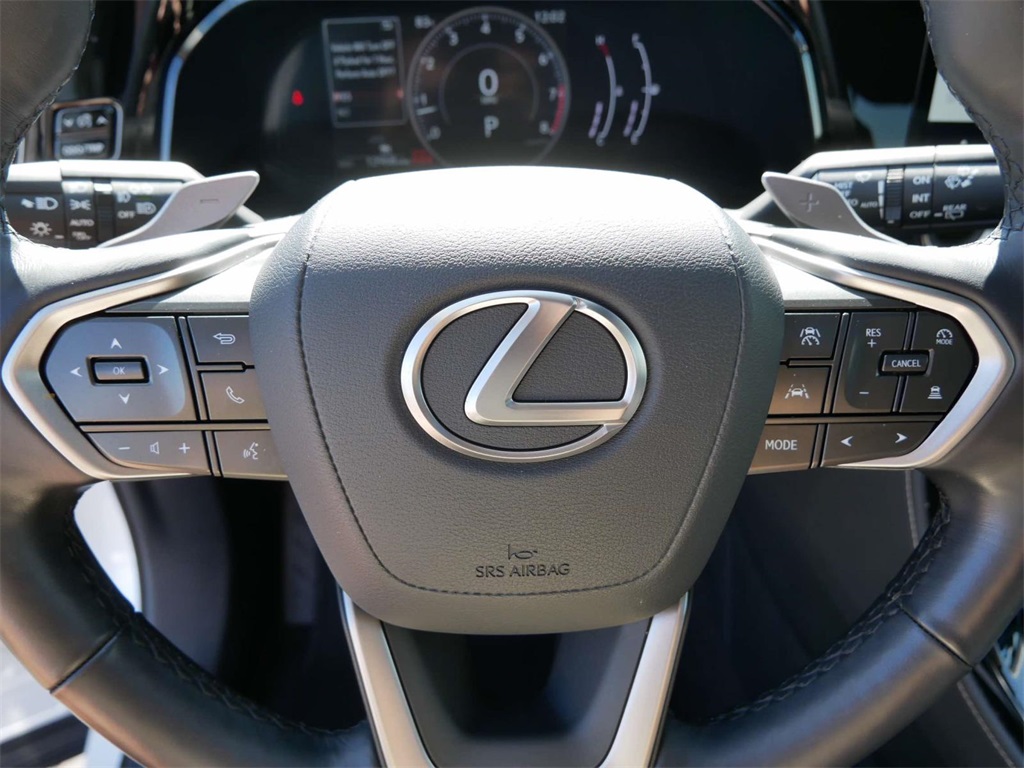 2024 Lexus NX 250 Premium 17