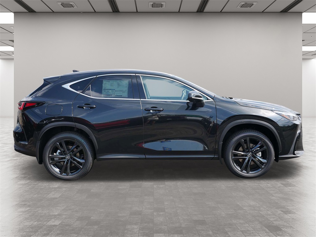 2025 Lexus NX 450h+ Luxury 6