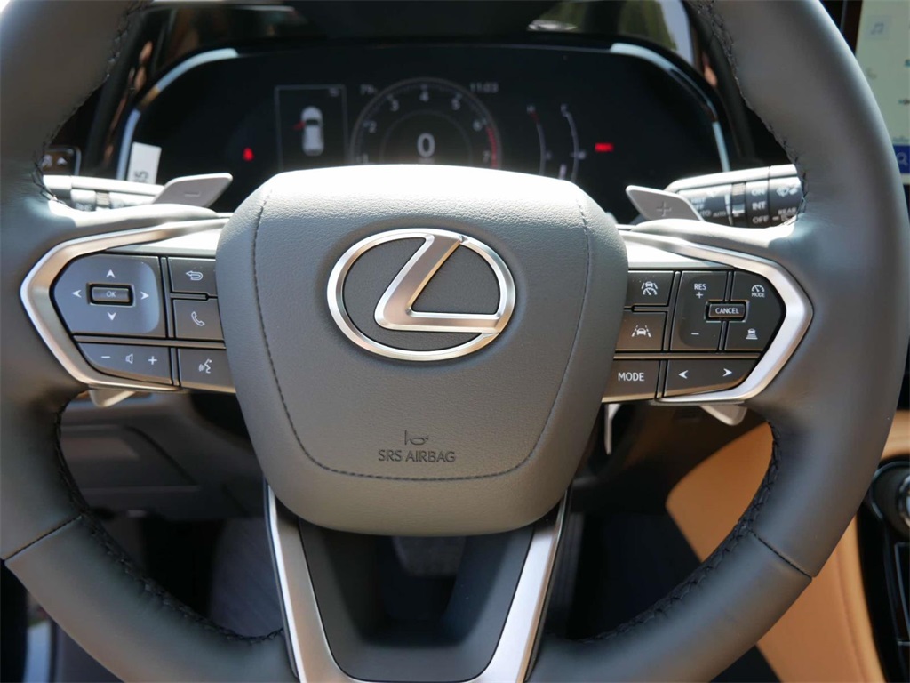 2025 Lexus NX 350 Premium 17